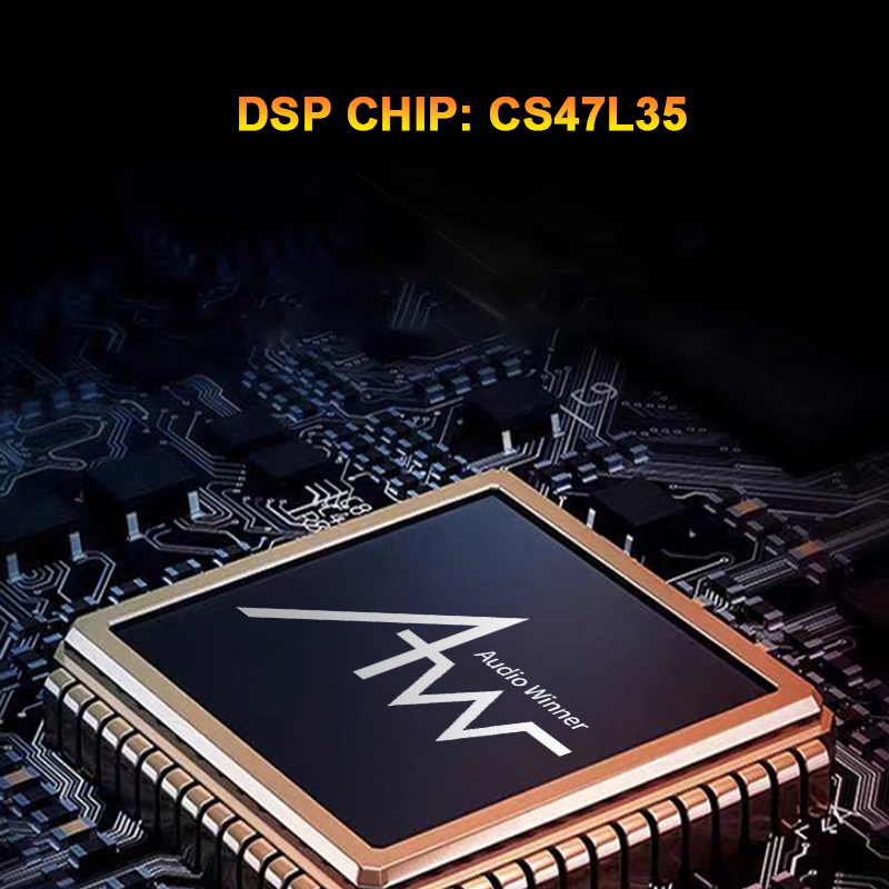 Cirrus logic DSP chip for high performance car audio processing
